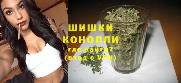 винт Чегем