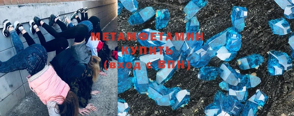шишки Заволжье