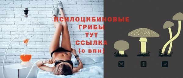 шишки Заволжье