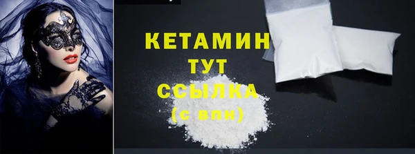 шишки Заволжье
