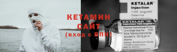 шишки Заволжье
