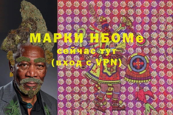 шишки Заволжье