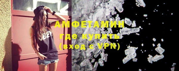 шишки Заволжье