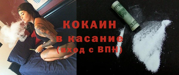 шишки Заволжье