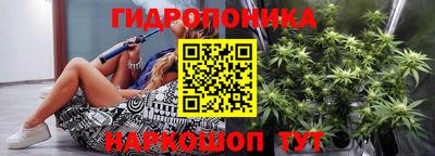 ALPHA PVP Гай
