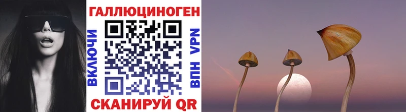 Галлюциногенные грибы Psilocybine cubensis цены наркотик Гатчина