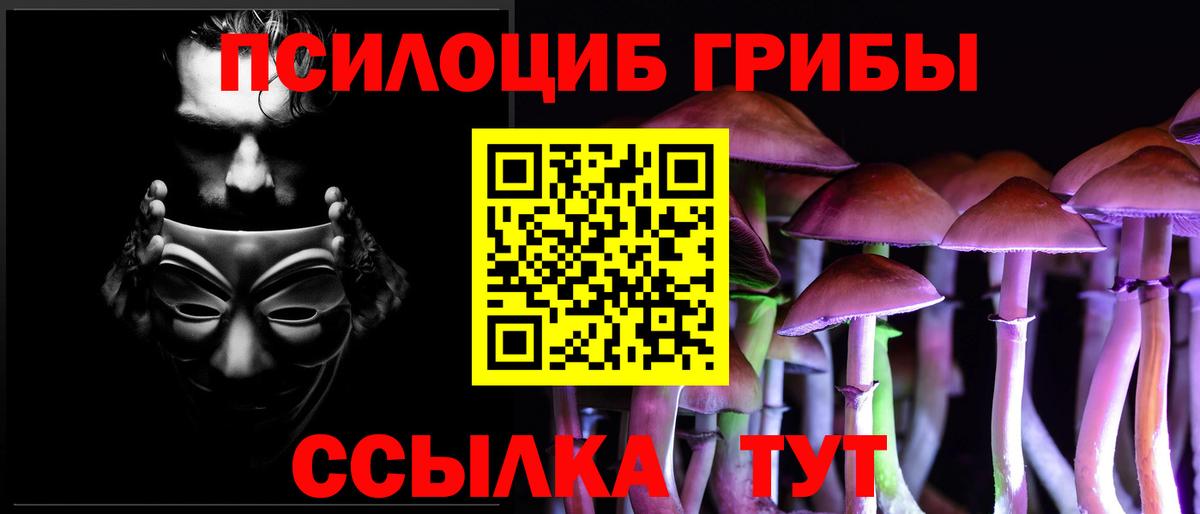 Гатчина  Галлюциногенные грибы ЛСД  Вход с VPN 